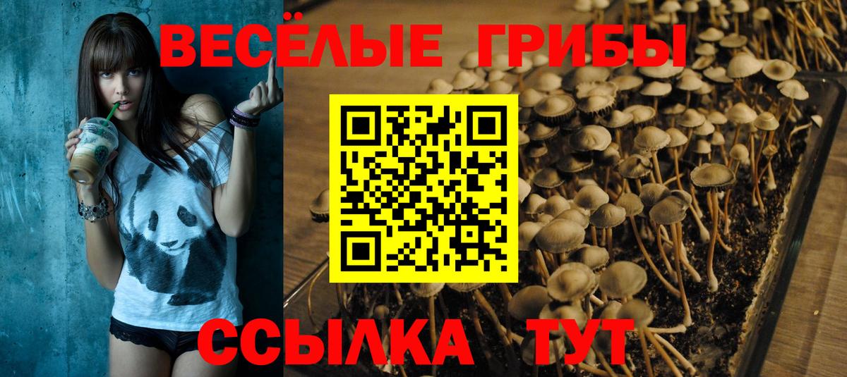 Псилоцибиновые грибы Magic Shrooms Красноперекопск